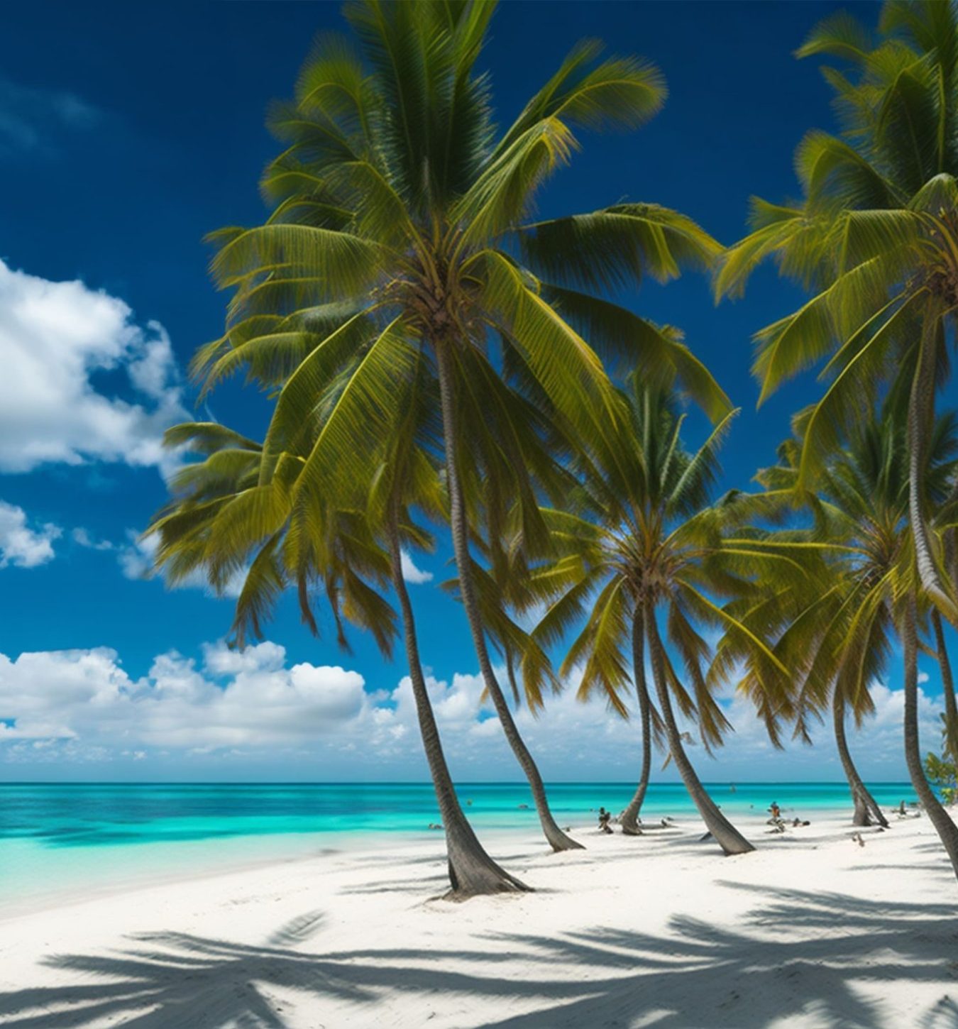 PUNTA CANA